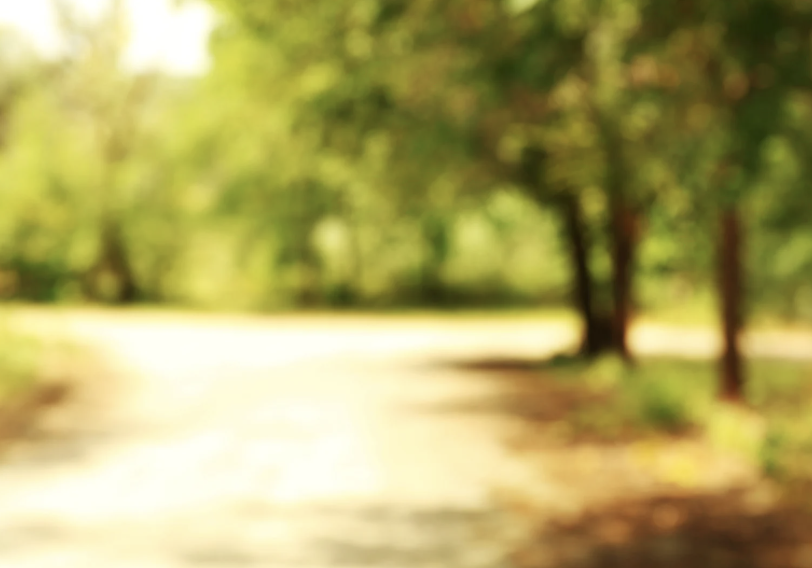 Screenshot 2025-08-01 at 11.10.17 am